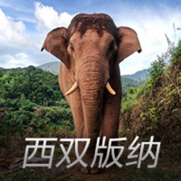 beat365最新在线登录平台v9.5.10.251